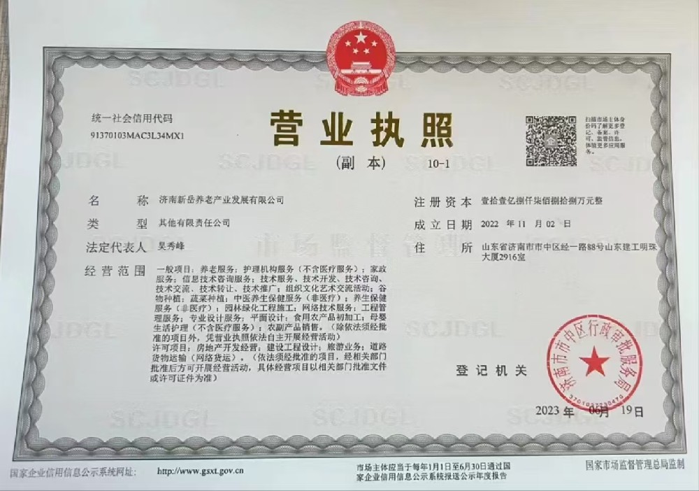 济南新岳养老产业发展有限公司.jpg